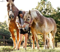 Giant 7ft horse won’t go anywhere without smaller horse – and owner says they’re an ‘old married couple’