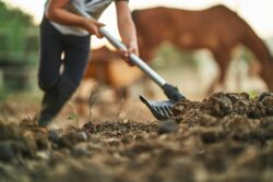 Farmers urge Government to use ‘poo power’ to heat 6,400,000 homes