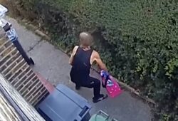 CCTV captures ‘cat flap burglar’ snatching handbag after reaching into home