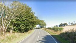 Man, 79, and woman, 85, die in horror crash on country road