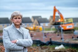 Developers tear down gran’s 20 foot-high hedge ‘without permission’