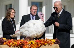 Joe Biden mocks Republican midterms ‘red wave’ while pardoning Thanksgiving turkeys