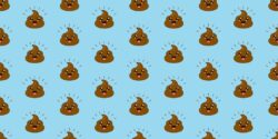 We finally know why some poos float and others don’t thanks to science