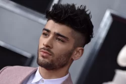 Zayn Malik writes to PM over free school meals