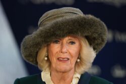 Camilla to host major Buckingham Palace reception to target domestic violence