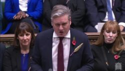 Why are MPs wearing a wheat sheaf on their lapels?