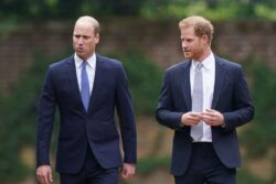 Harry ‘left terrified by screaming William’ in bombshell Netflix claims