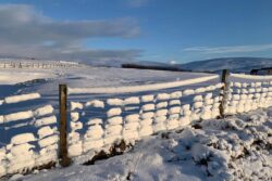 Shetland hailed for ‘resilience’ as thousands without power still