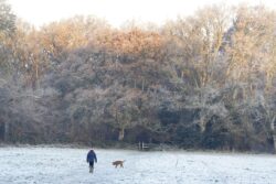 Snows disrupts travel and closes schools amid weather warnings