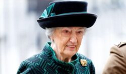 Lady Susan ‘thrown under the bus’ – ex-Queen aide hits out at ‘massive overreaction’