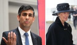 ‘We must confront it’: Rishi Sunak breaks silence on Buckingham Palace racism row