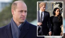 ‘I’ll fight back!’ William to challenge Harry and Meghan if they smear royals again