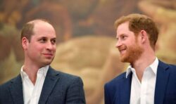 Prince William and Harry set aside rift to honour school friend who died in car crash