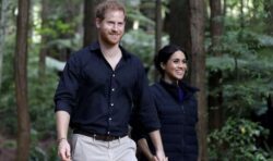 Royal Family LIVE: Fears Meghan and Harry’s Netflix show will target British public