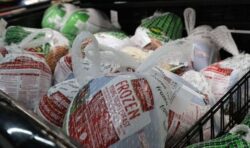 Farmers urge Britons not to buy frozen Christmas turkeys as bird flu sparks major shortage