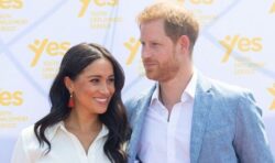 Prince Harry and Meghan Markle Netflix series – what viewers can expect from the show