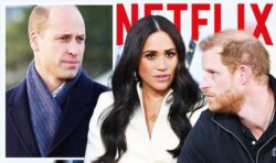 ‘Disappointing’: Netflix’s own advisers ‘question timing of Harry and Meghan’s trailer’