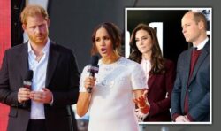 Meghan Markle’s podcast branded ‘game of woke bingo’ as Duchess ‘scrapes the barrel’