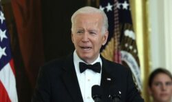 Democrats look to ditch Biden and ‘modernise party’, says Clinton pollster