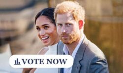 POLL: Will you be watching Harry & Meghan on Netflix?