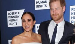 Prince Harry and Meghan Markle snubbed by celebrity friends in Netflix miniseries