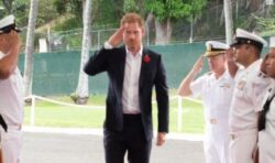 Prince Harry dragged into huge row as Americans fume at ‘staged’ Pearl Harbour photoshoot