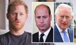 ‘William & Charles won’t agree’: Harry criticised for claim royals marry who ‘fits mould’