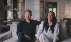 Harry and Meghan’s Netflix series is ‘all sizzle, no steak’, claims Royal experts