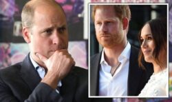Prince Harry ‘rubs salt into wound’ as Prince William dubbed ‘real target’ of Netflix show