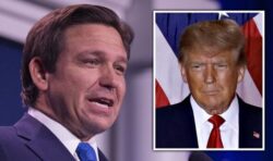 DeSantis leads Trump in 2024 poll as Florida Governor keeps hush on bid