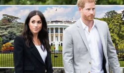 Meghan is the USA’s ‘second worst export’ but a White House bid is now ‘not far fetched’