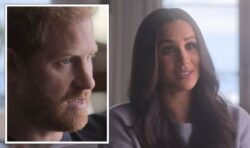 ‘Very damaging’: Fears Meghan and Harry will ‘attack royal courtiers’ in new Netflix shows