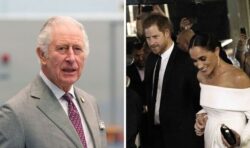 King Charles urged to hold back punishment plan for Harry after Duke ‘pulls out the pin’