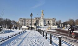 Buckingham Palace dusted in snow lauded as ‘most beautiful place in the world’