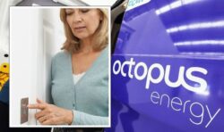 Octopus Energy’s blackout swerving scheme gets Britons saving £1m in energy crisis