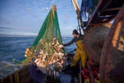 EU fisheries deal leaves member states scrambling for UK waters quotas post-Brexit