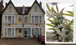 North London care home busted by police for being suspected cannabis farm