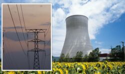 Wholesale energy costs in UK fall as French nuclear supplies boost eases blackout fears