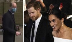 Royals urged not to ‘take the bait’ despite Meghan and Harry’s Netflix ‘mudslinging’