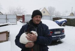 Ukrainian rabbit reunited with owner after Russia destroyed family home