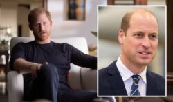 Harry and William reconciliation ‘difficult’ as Duke levels most of criticism at brother