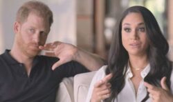 ‘Stressed’ Harry and Meghan were in a ‘state of panic’ during ‘freedom flight’