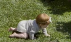 Meghan Markle and Prince Harry share adorable footage of ‘Diana-like’ Lilibet crawling