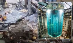 Hotel’s aquarium explodes killing 1,500 fish and sending ‘wave’ of water through streets