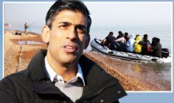 Voters back Rishi Sunak’s plan for new law to deport illegal migrants immediately – poll