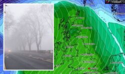 Met Office predicts 15C surge in hours as new maps show regions pushing above freezing