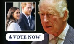 Royal poll: Should Charles hold ‘royal summit’ talks with Harry and Meghan?