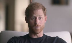 Prince Harry shares never-seen-before photo of him and William after Netflix fallout