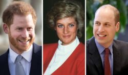 Princess Diana’s ‘endearing and emotional style’ changed Prince William and Prince Harry