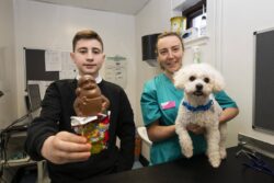 Veterinary charity warns pet owners over danger of festive treats